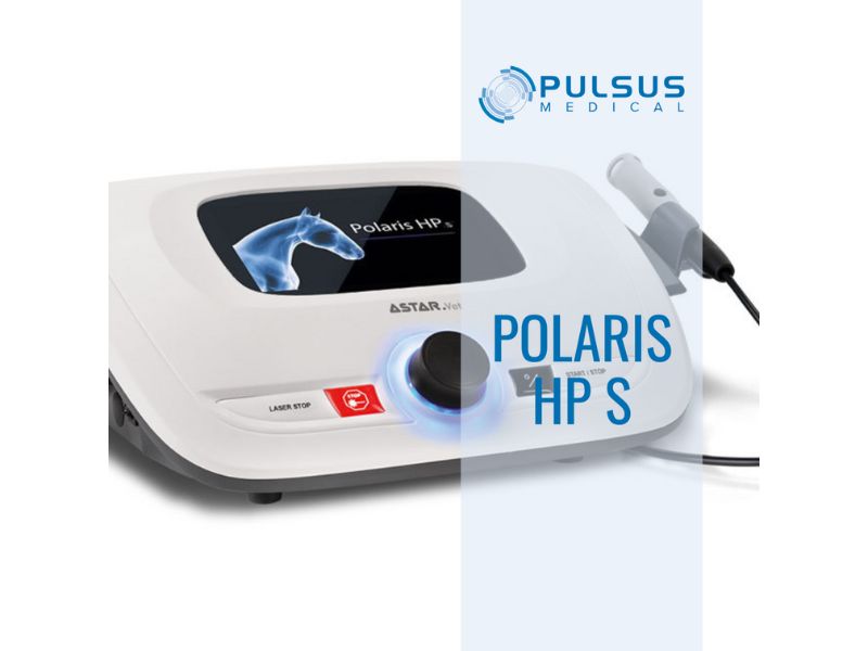 Laserski uređaj velike snage namijenjen fizioterapiji životinja - Polaris HP S Vet